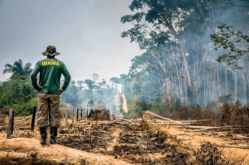 Projetos de Lei de interesse da bancada ruralista têm sido debatidos na Comissão de Agricultura no Senado sem passar pela de Meio Ambiente